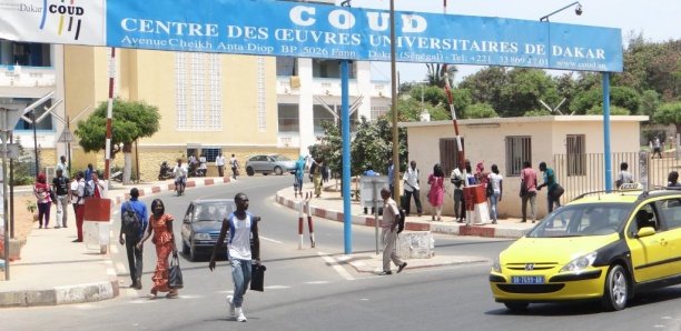 [Reportage] Au Sénégal, la problématique des chômeurs diplômés