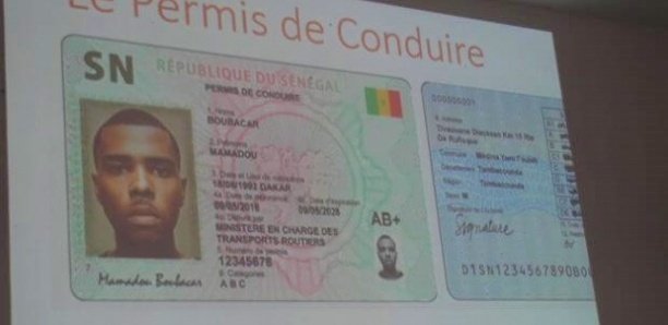 Permis de conduire numérisés : Coup de colère contre « Capp Karangë »