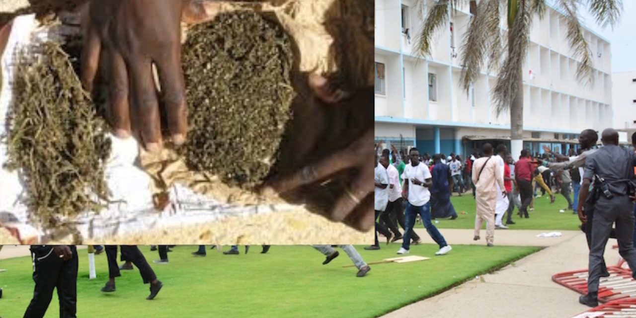 Ucad: Arrestation de deux étudiants pour trafic de drogue