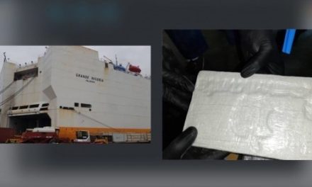Drogue saisie au Port : Grimaldi a payé 6 milliards