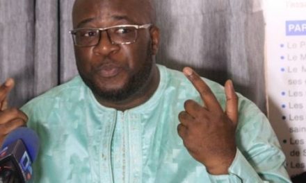 Projet de loi d’habilitation : Suggestions au président de la République (Par Birahim Seck)