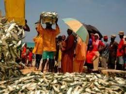 VIDEO : les vendeurs de poisson fustigent le blocus imposé aux camions frigorifiques mauritaniens au niveau de la frontière.