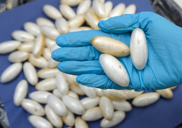 Vélingara:de la cocaïne trouvée chez le chef du village