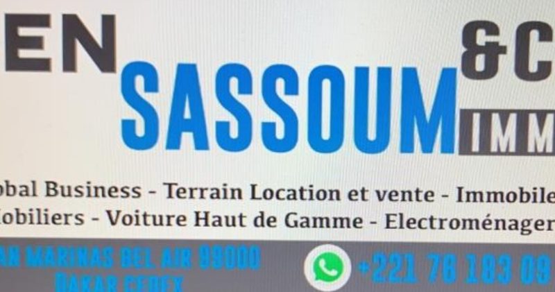 Start Up:Ben Sassoum Immo and Global Business