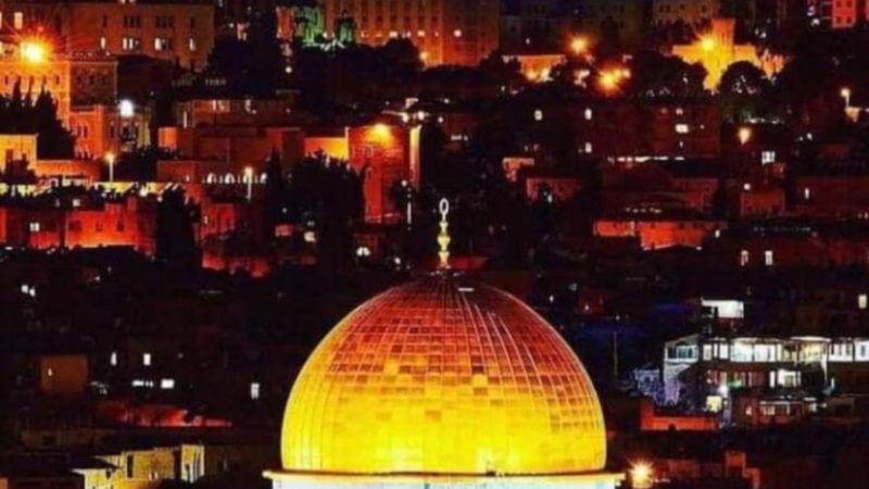 Contribution :Free Palestine .Par Pape Ibrahima Diassè