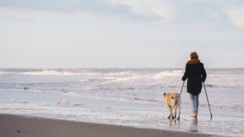 Pourquoi la marche est-elle si bonne pour notre santé ?