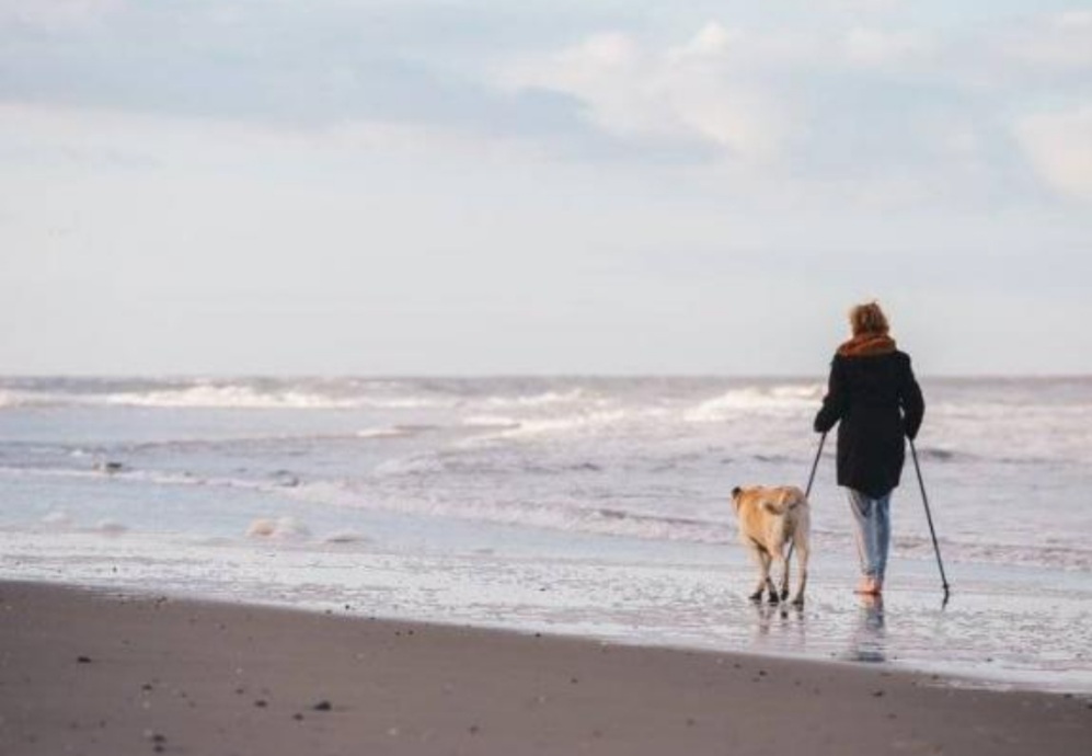 Pourquoi la marche est-elle si bonne pour notre santé ?