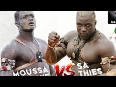 LUTTE : Moussa Ndoye VS Sa Thiès, le combat de tous les dangers