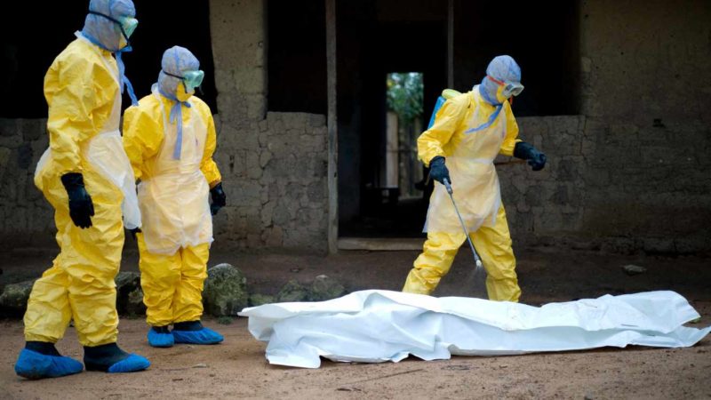International:Une infection par le virus de Marburg détectée en Guinée !