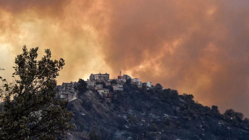 International Algérie : 65 morts dans des incendies qui ravagent le nord du pays