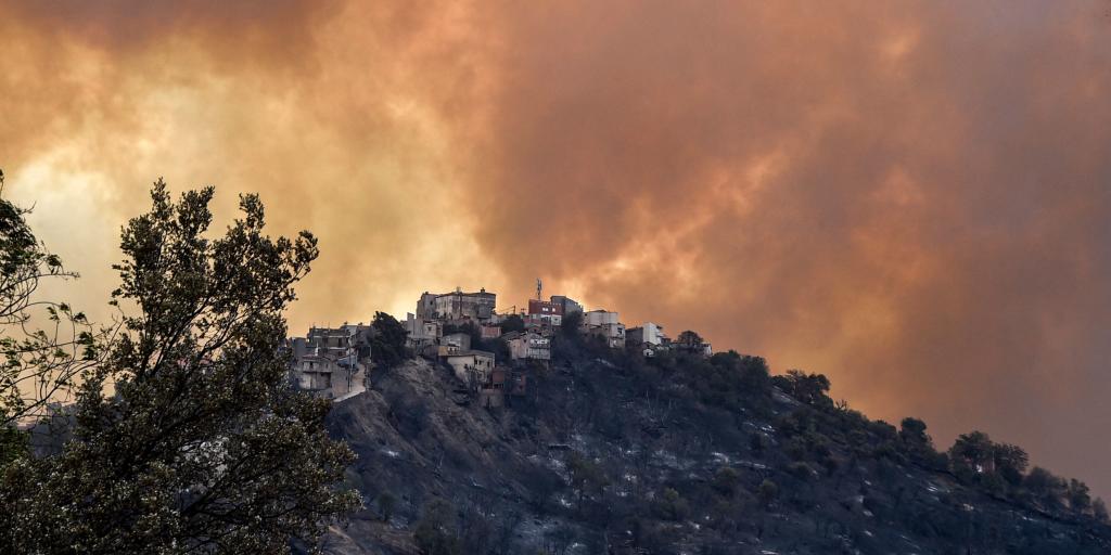 International Algérie : 65 morts dans des incendies qui ravagent le nord du pays