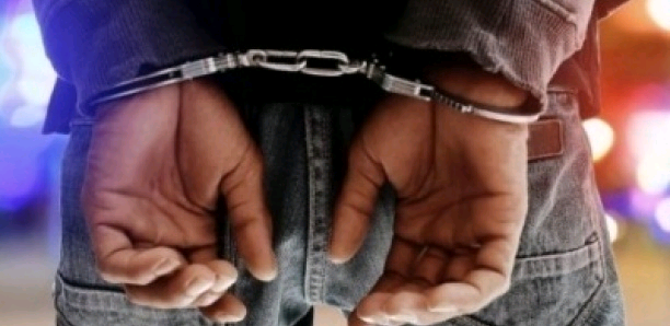 Justice international : Un lutteur sénégalais arrêté aux USA pour  pédophilie au premier degré et agression sexuelle